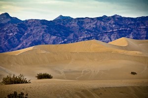 Death Valley sand dunes