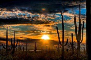 HDR photography of Cactus Sunset Saguaro Park