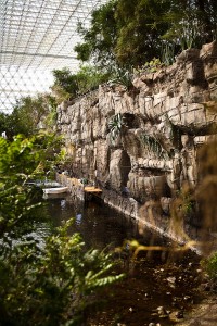 biosphere 2 ocean