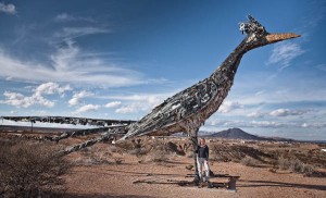 darlene and road runner