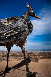 roadrunner las cruces new mexico