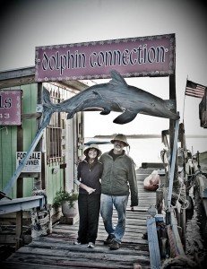 Dolphin Connection