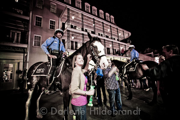 New Orleans - French Quarter bourbon street horse patrol