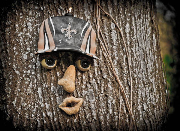 New Orleans Saints on a tree RV 06564